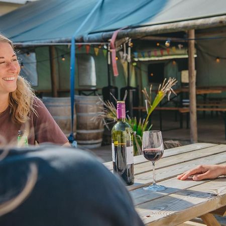 Family & Surfhostel Petten Exterior photo