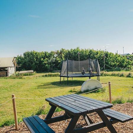Family & Surfhostel Petten Exterior photo